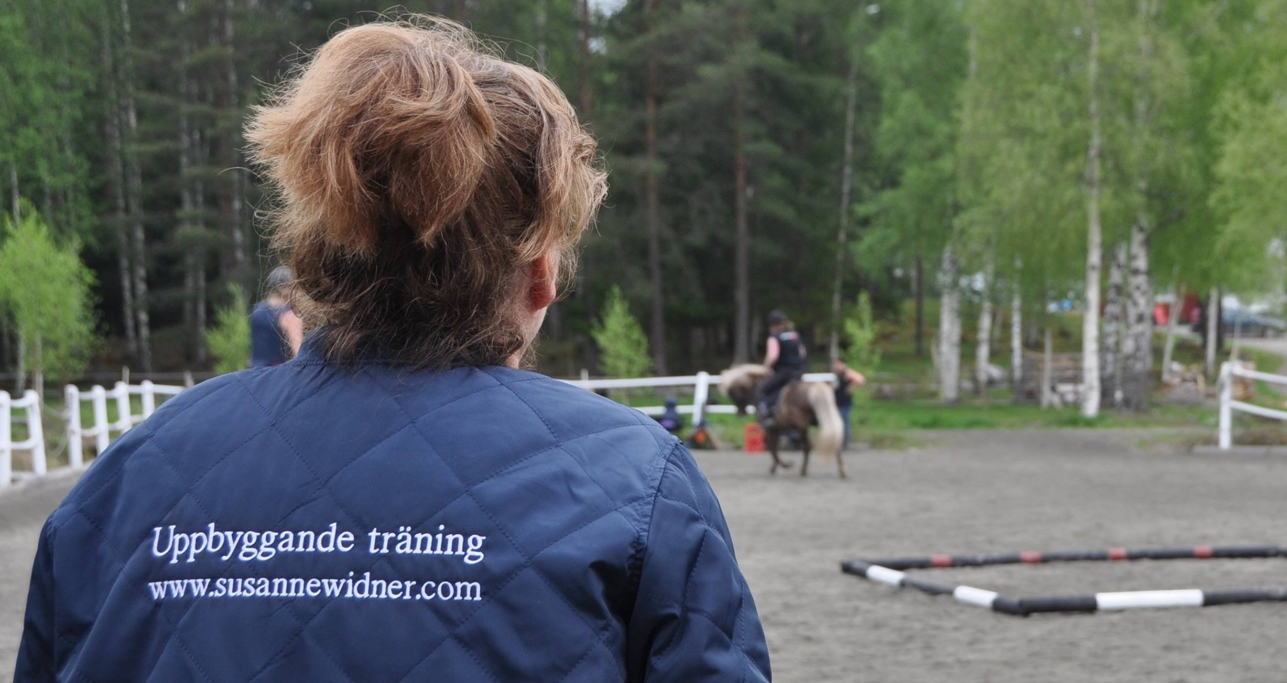 52840344_2380327378861988_2168155454444666880_n